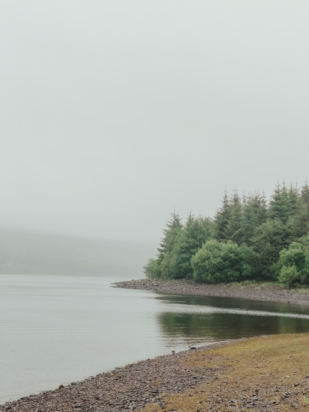 Calm water flows along a tree lined rocky shore.